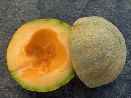 Echte Cantaloupmeloen 'Emir' F1