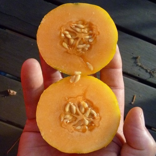 Cantaloupmeloen 'Farnorth' / 'Farrest North' / 'Far North'