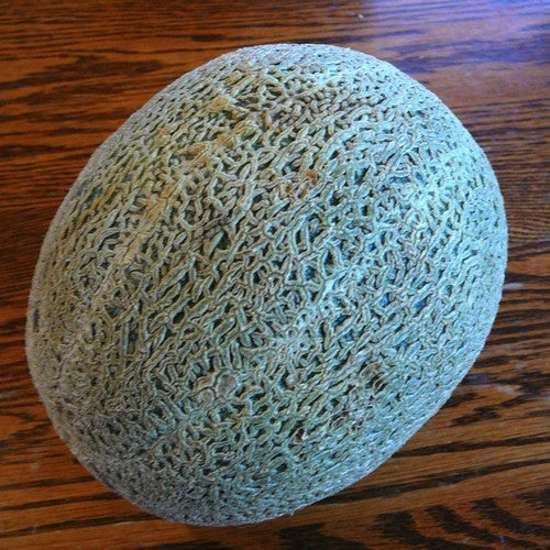 Cantaloupmeloen 'Green Nutmeg'
