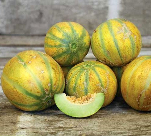 Cantaloupmeloen 'Ha-On' F1