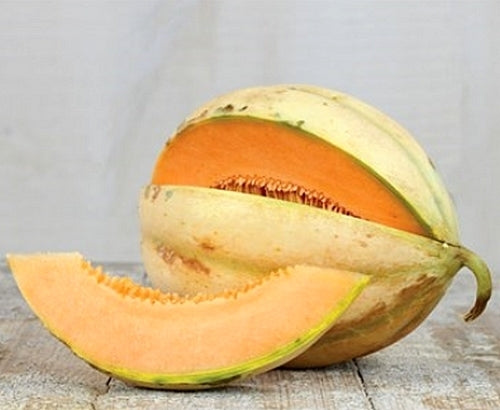 Cantaloupmeloen 'Orlinabel'