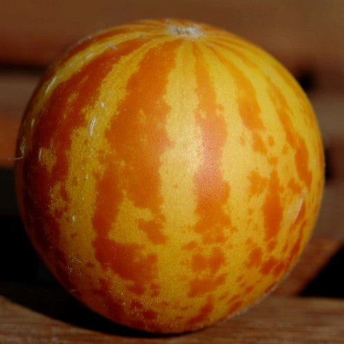Catmelon 'Queen Ann's Pocket' / 'Orange parfum de Poche'
