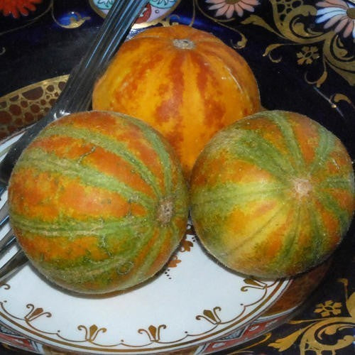 Catmelon 'Queen Ann's Pocket' / 'Orange parfum de Poche'