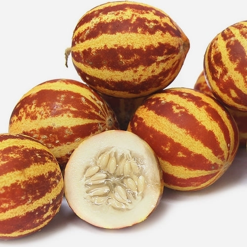 Poezenmeloen 'Rich Sweetness 132'
