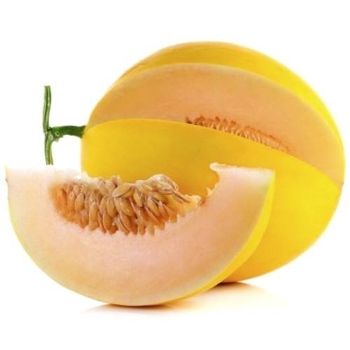 Winter Melon 'Luna' F1