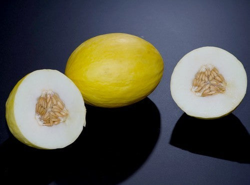 Winter Melons 'Timon' F1 / 'Glorious' F1