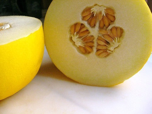 Winter Melons 'Timon' F1 / 'Glorious' F1