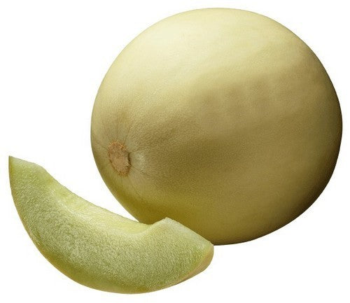 Winter Melons 'Witte Suiker' / 'Westlandse Zoete Witte'