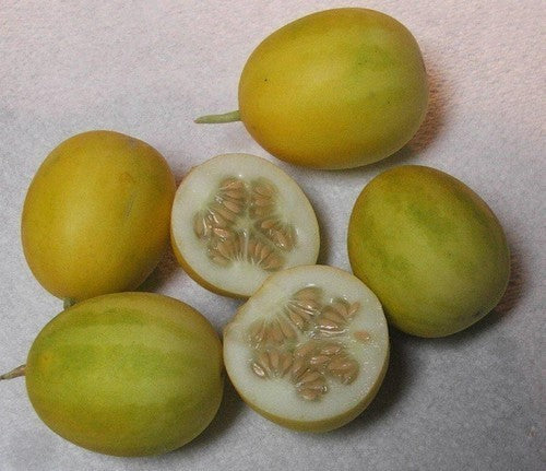 Appelmeloen 'Aka Vine Peach'