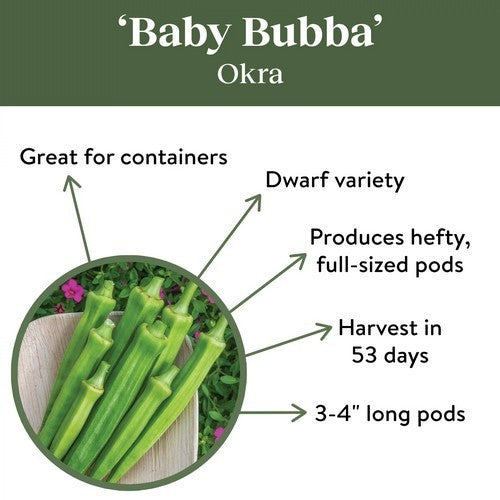 Okra 'Baby Buddha' F1