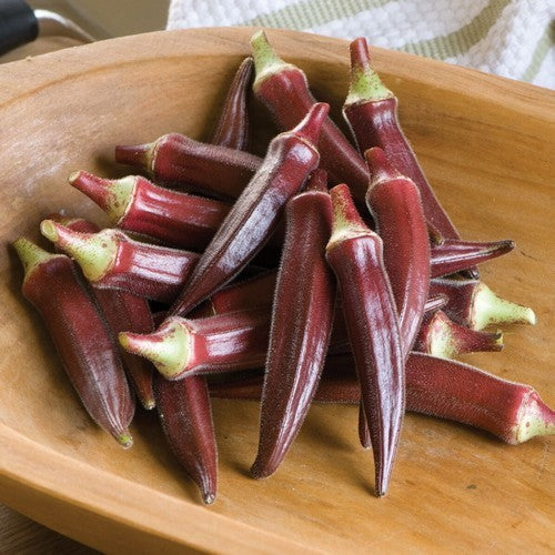 Okra 'Carmine Splendor' F1