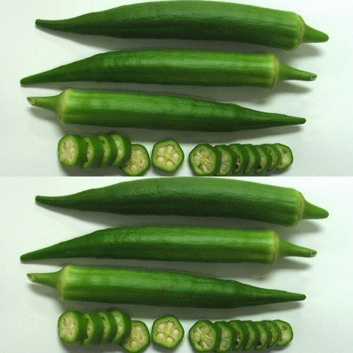 Okra 'Emerald Green Velvet'