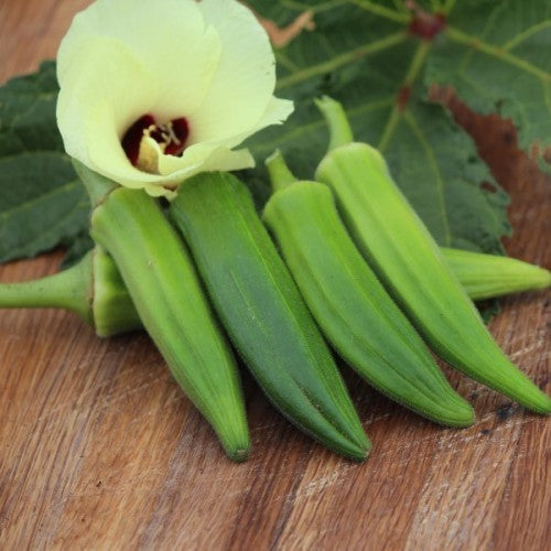 Okra 'Jade'