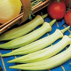 Okra 'Silver Queen'