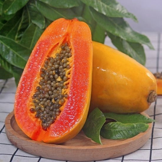 Papaya 'Red Lady'