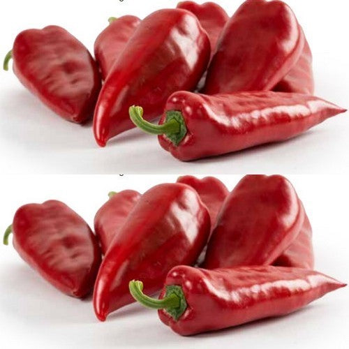 Paprika 'Atris'