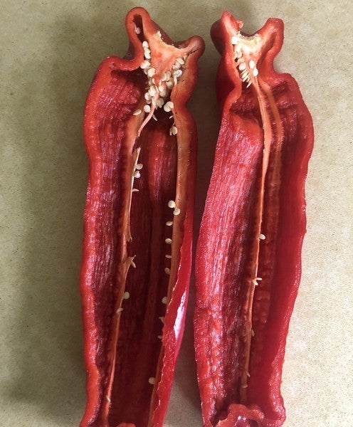 Paprika 'Cockatoo'