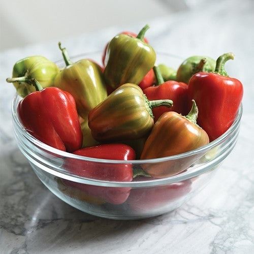 Pepper 'Confetti' F1