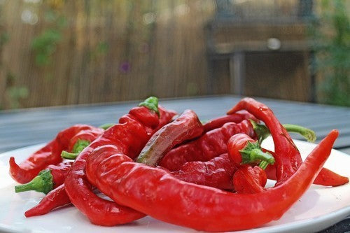 Paprika 'Jimmy Nardello's''