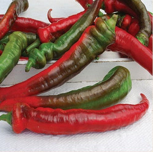 Paprika 'Jimmy Nardello's''