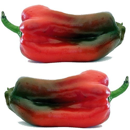 Paprika 'Marconi Rosso'