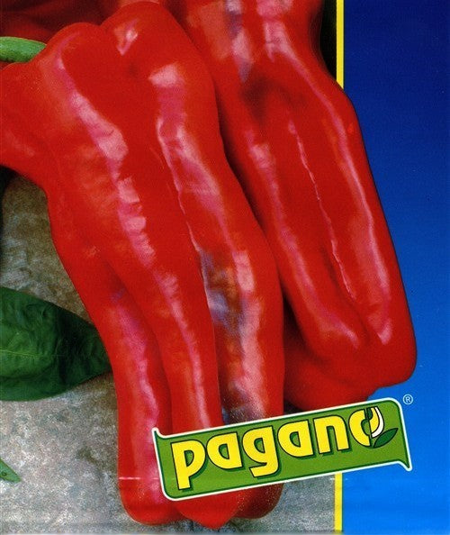 Paprika 'Marconi Rosso'