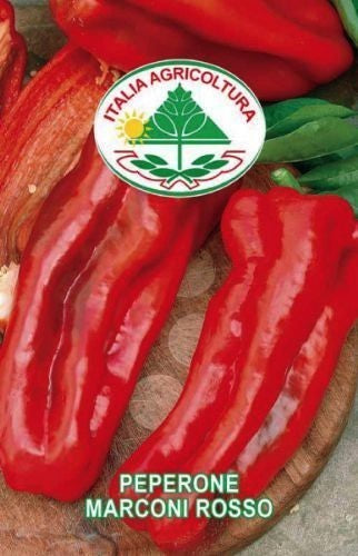 Paprika 'Marconi Rosso'