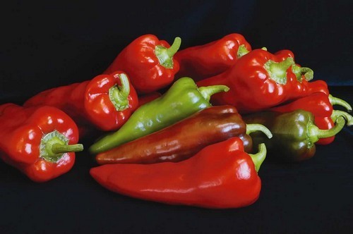 Paprika 'Corno di Toro Rosso' / 'Kapia' / 'Capia'