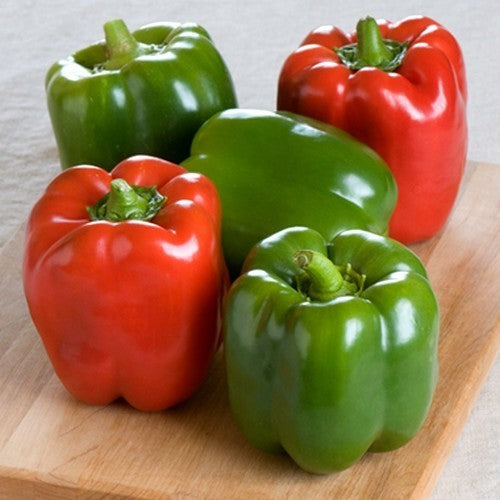 Pepper 'Poseidon' F1 / 'Bellboy' F1