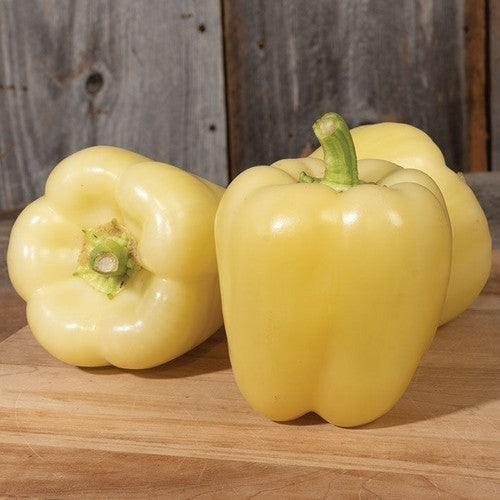 Paprika 'soroksari'
