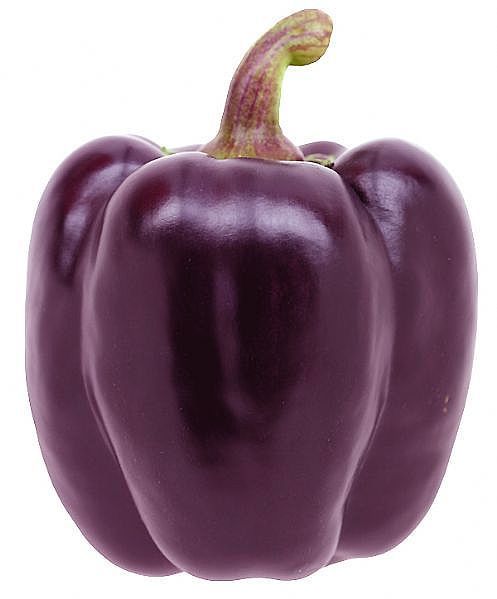 Pepper 'Tequila' F1