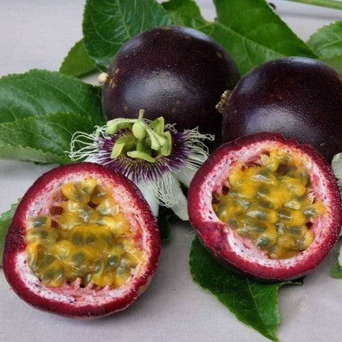 Passion fruit