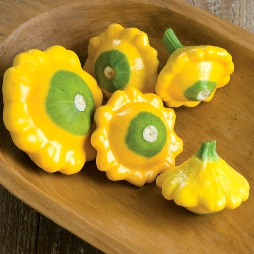 Pattypan 'Flying Saucer' F1 / 'Y-Star' F1