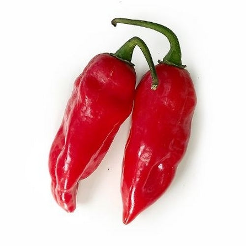 Peper 'Aji Picante de Juana'