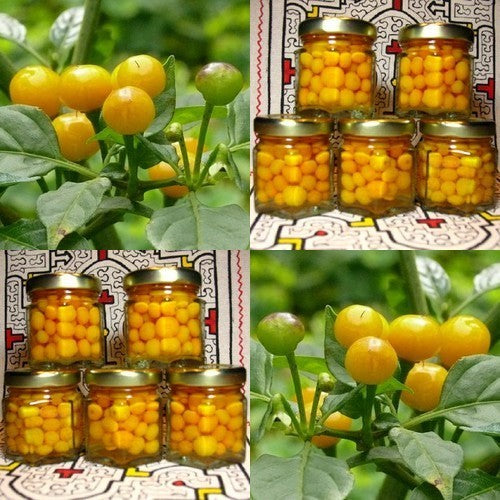 Peper 'Aji Charapita'