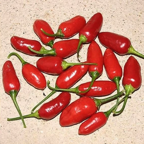 Pepper 'Aji Little Finger'