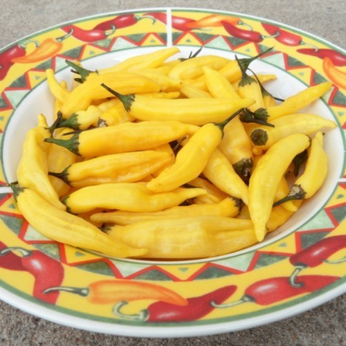 Peper 'Aji Pineapple'