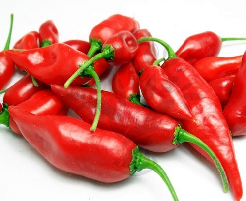 Peper Adjuma-Type 'Paper Lantern' / 'Habanero Paper Lant'