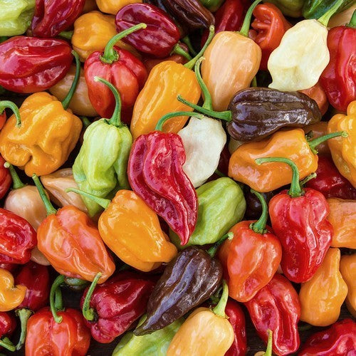 Peper Adjuma-Type 'ARoma Mixture'