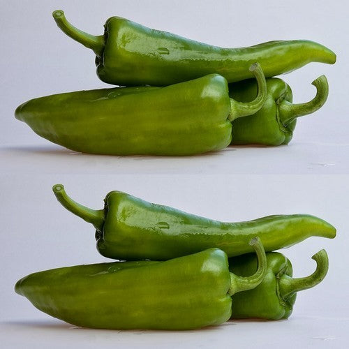 Pepper 'Anaheim' / 'Sonora Anaheim'