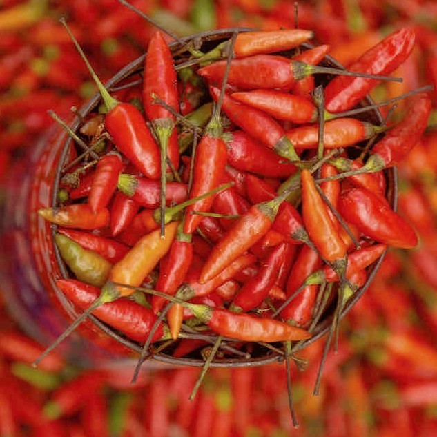 Peper 'Bahian Sauce'
