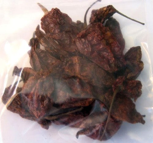 Pepper 'Bhut Jolokia'