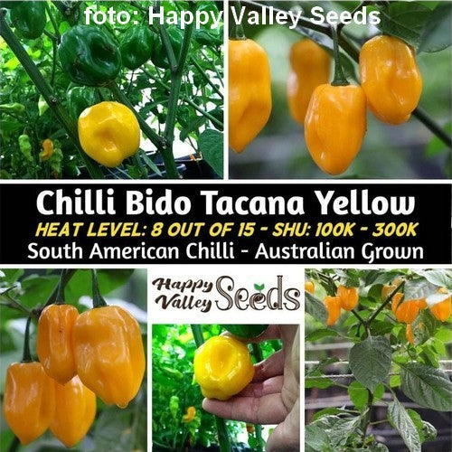 Peper 'Bido Tacana'