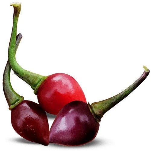 Peper 'Biquinho Roxo'