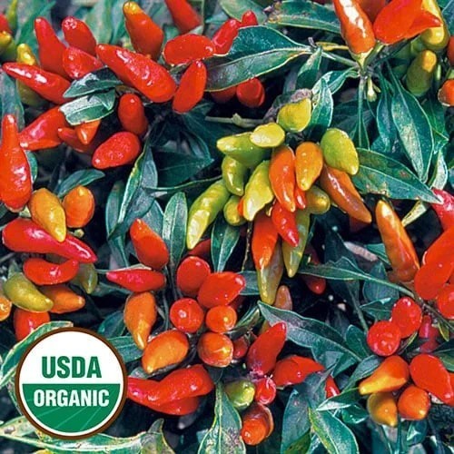 Peper 'Candlelight Dark'