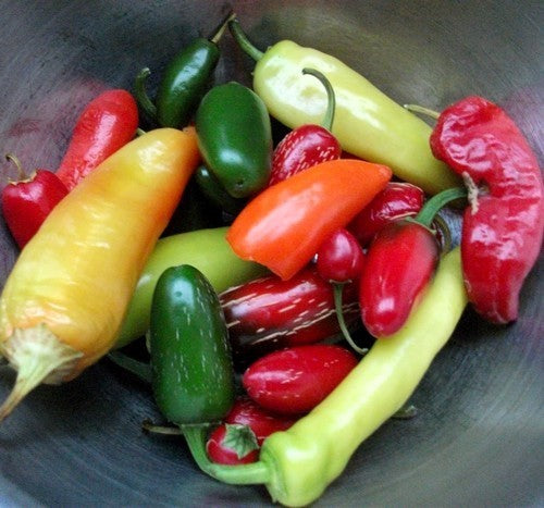 Peper 'Caribbean Blend'