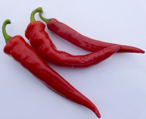 Peper 'Cayenne Large Red Thick'