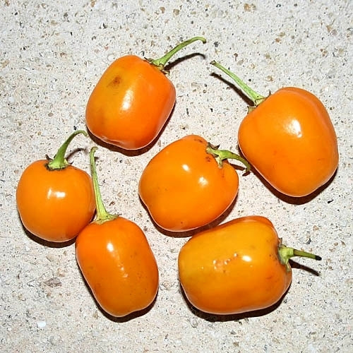 Peper 'Cereza Orange Aji'