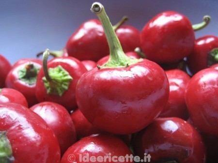 Peper 'Ciliegia Piccante' / 'Bacio di Satana' / 'Peperoncino'