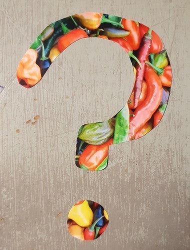 Peper 'Claw of The Devil Yellow' / 'Devil'S Claw Yellow''
